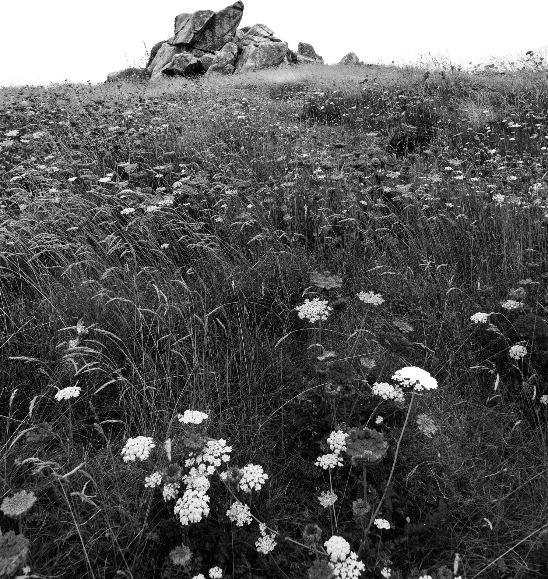 KEÑ studio — landscape